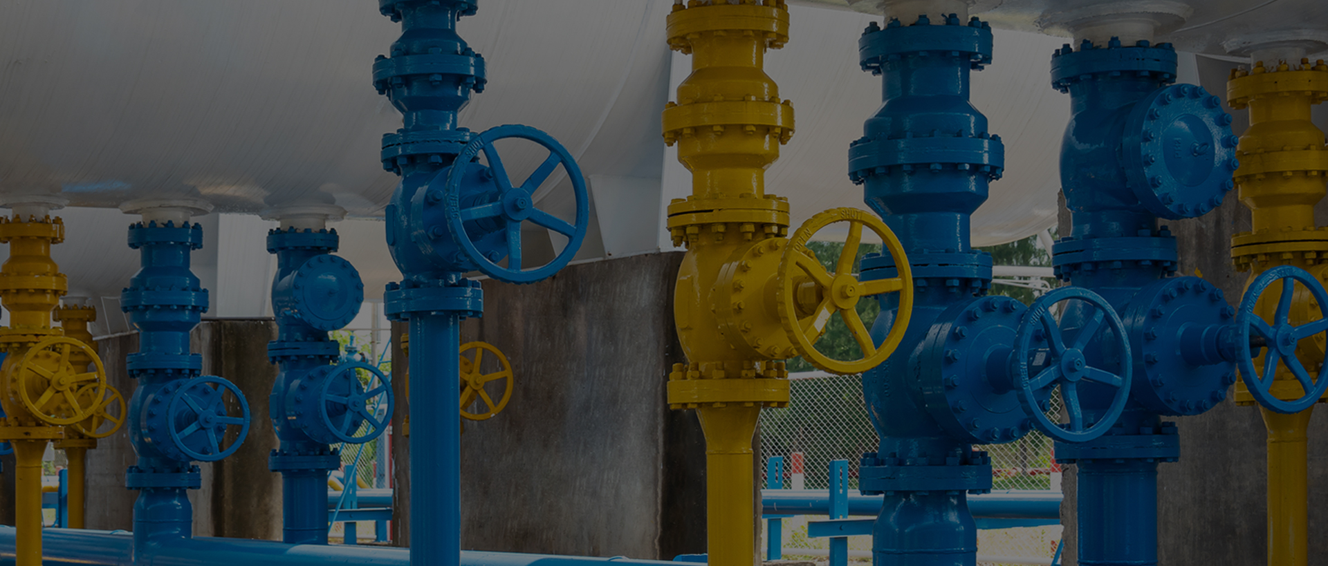 Zhejiang Naishi Valve Co., Ltd.