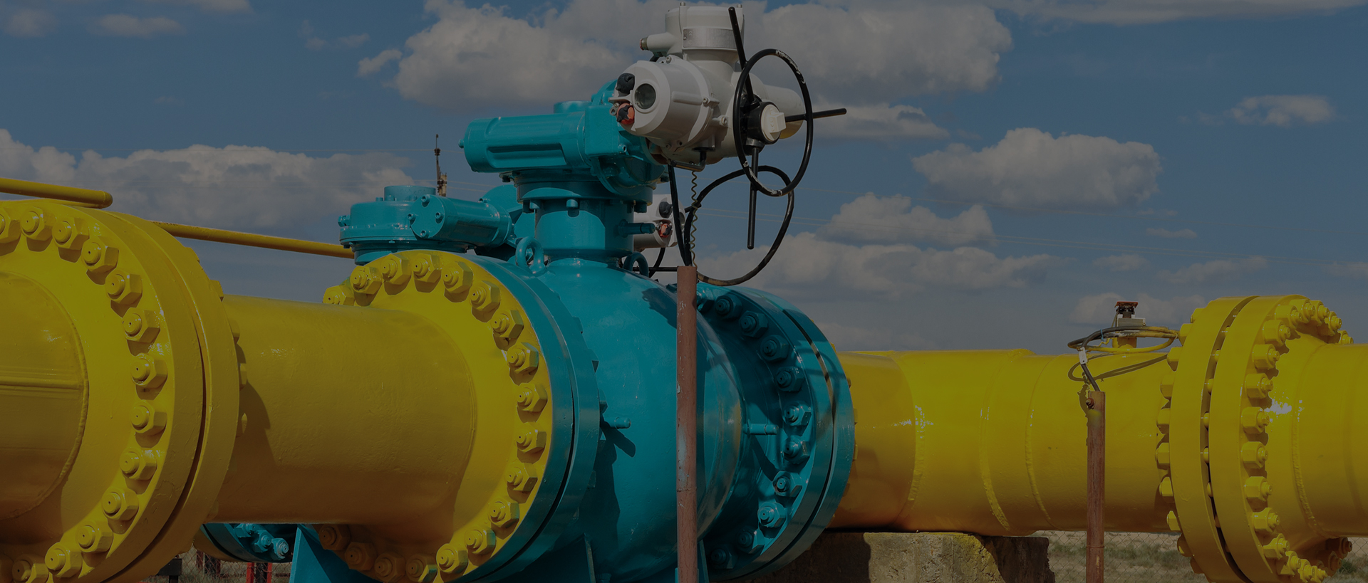 Zhejiang Naishi Valve Co., Ltd.