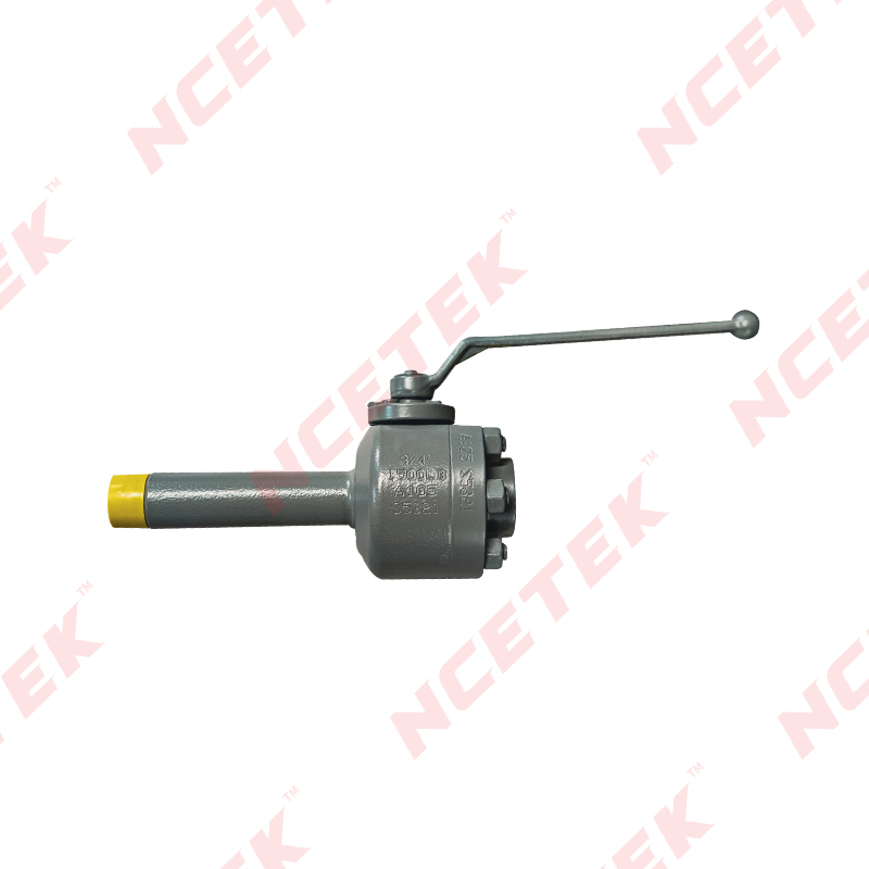 NPT Forged Steel Ball Valve